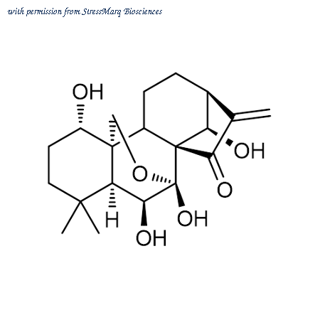 StressMarq Biosciences SIH-624 image 1