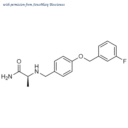 StressMarq Biosciences SIH-625 image 1