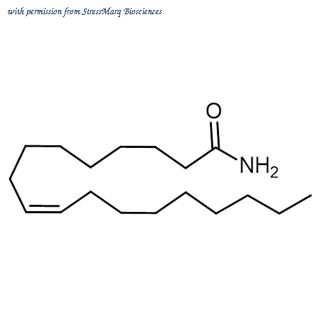 StressMarq Biosciences SIH-627 image 1
