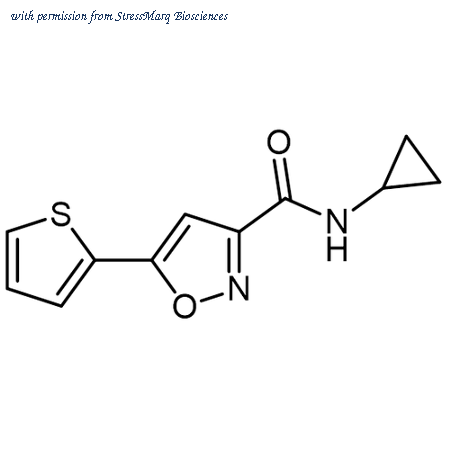StressMarq Biosciences SIH-628 image 1