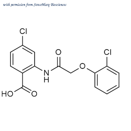 StressMarq Biosciences SIH-633 image 1