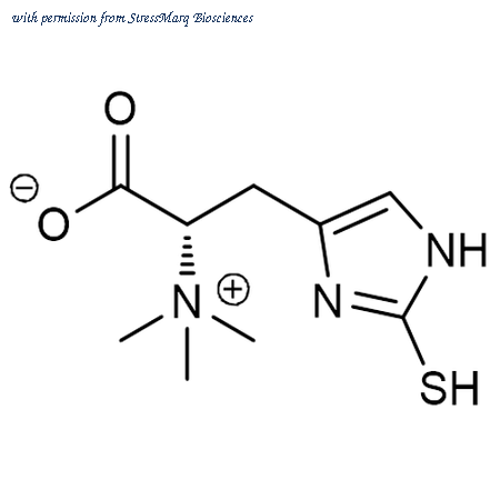 StressMarq Biosciences SIH-634 image 1