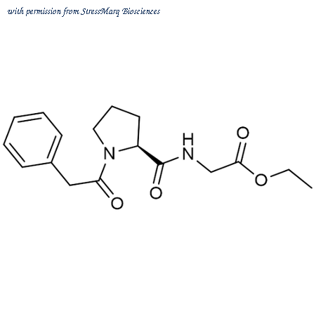 StressMarq Biosciences SIH-636 image 1