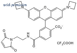 Tocris Bioscience 6500/2 image 1