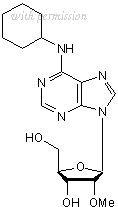 Tocris Bioscience 2465/10 image 1