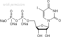 Tocris Bioscience 2502/1 image 1
