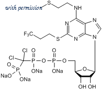 Tocris Bioscience 5720/1 image 1