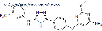 Tocris Bioscience 5260/10 image 1