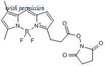 Tocris Bioscience 5465/5 image 1