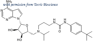 Tocris Bioscience 5567/10 image 1