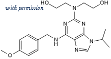 Tocris Bioscience 6174/10 image 1