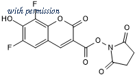Tocris Bioscience 6489/5 image 1