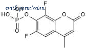 Tocris Bioscience 6882/5 image 1
