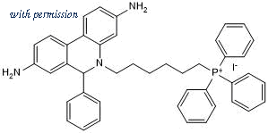 Tocris Bioscience 7641/1 PACK image 1