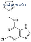 Tocris Bioscience 7679/10 image 1