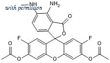 Tocris Bioscience 7756/1 PACK image 1