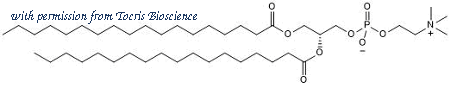 Tocris Bioscience 7943/100 image 1