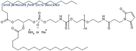 Tocris Bioscience 7947/10 image 1
