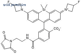 Tocris Bioscience 8027/1 image 1