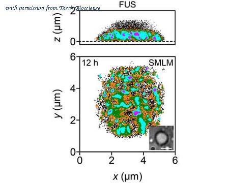 Tocris Bioscience 8156/200U image 1