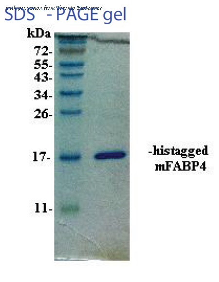 Toronto BioScience 42030 image 1