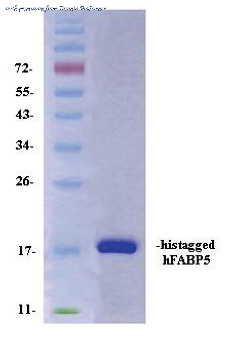 Toronto BioScience 41040 image 1