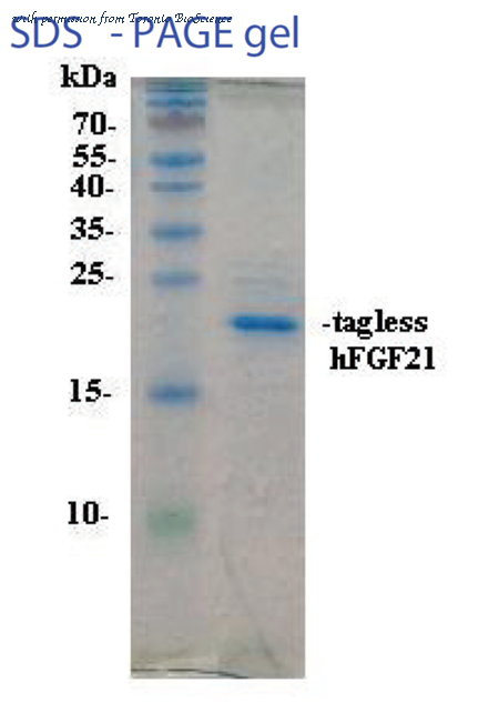 Toronto BioScience 41189 image 1
