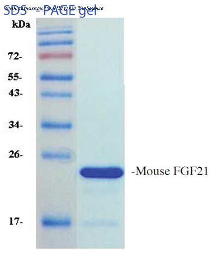Toronto BioScience 42184 image 1